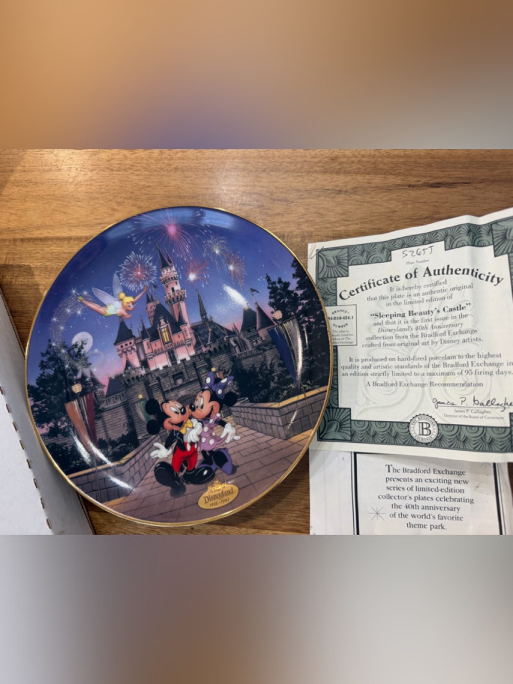 Disney sleeping beauty Castle Mickey Fireworks Collector Plate - authentic